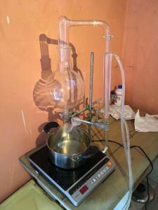 Photo 5-15-16, 10 25 48