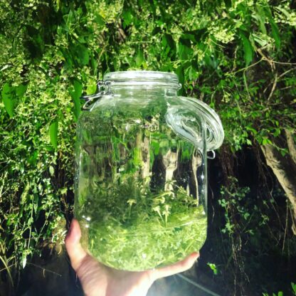 The Air of Ishigaki アロマディフューザー No. 2  夜香木(Night Jasmine) - 画像 (2)